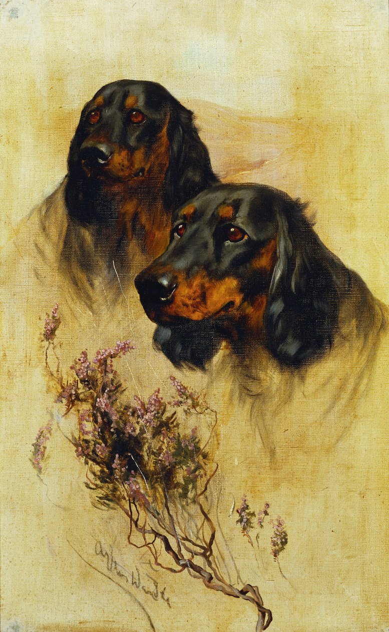 Két Gordon szetter (olaj, vászon) alkotó: Arthur Wardle