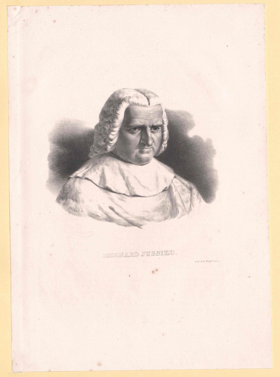 Bernard de Jussieu alkotó: Artist Unknown