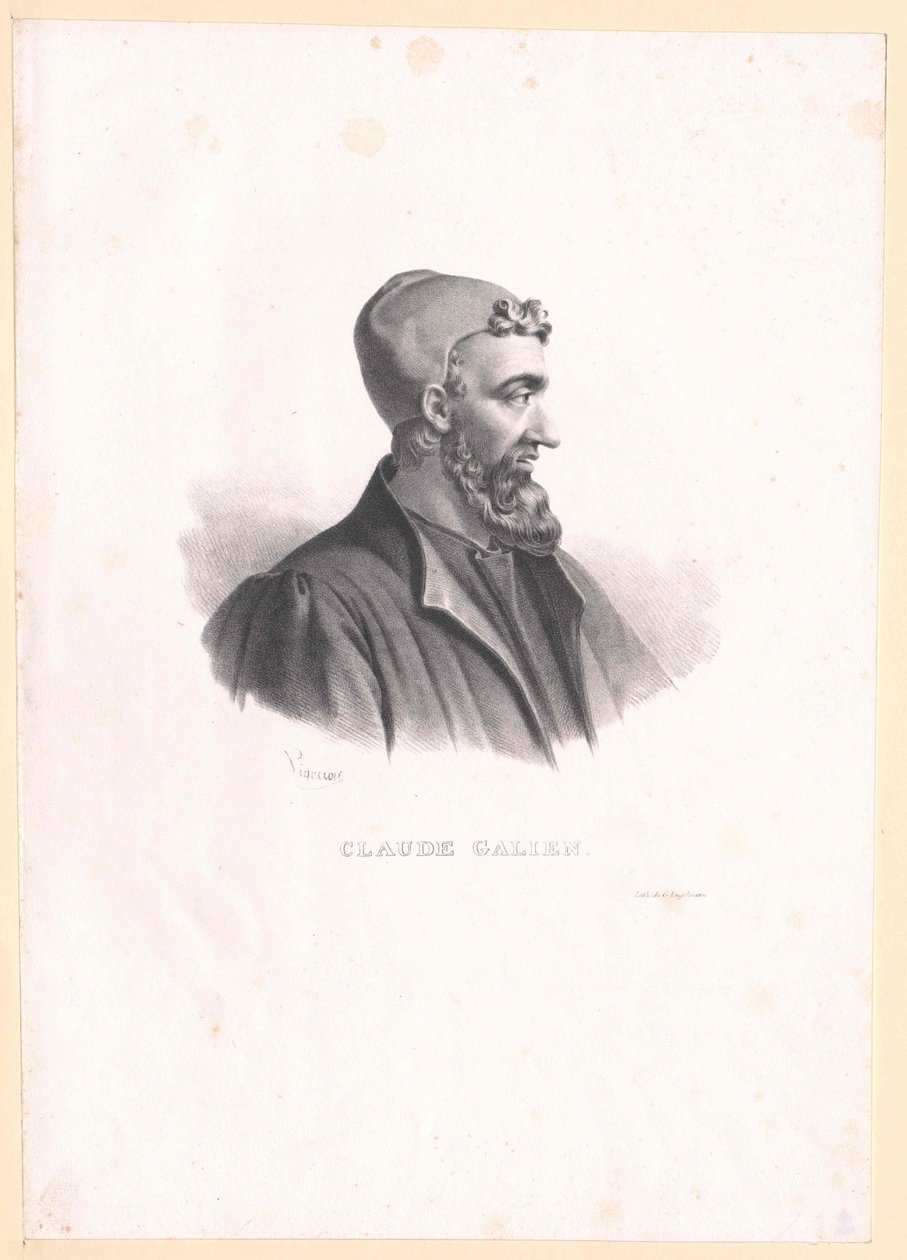 Galenus alkotó: Artist Unknown