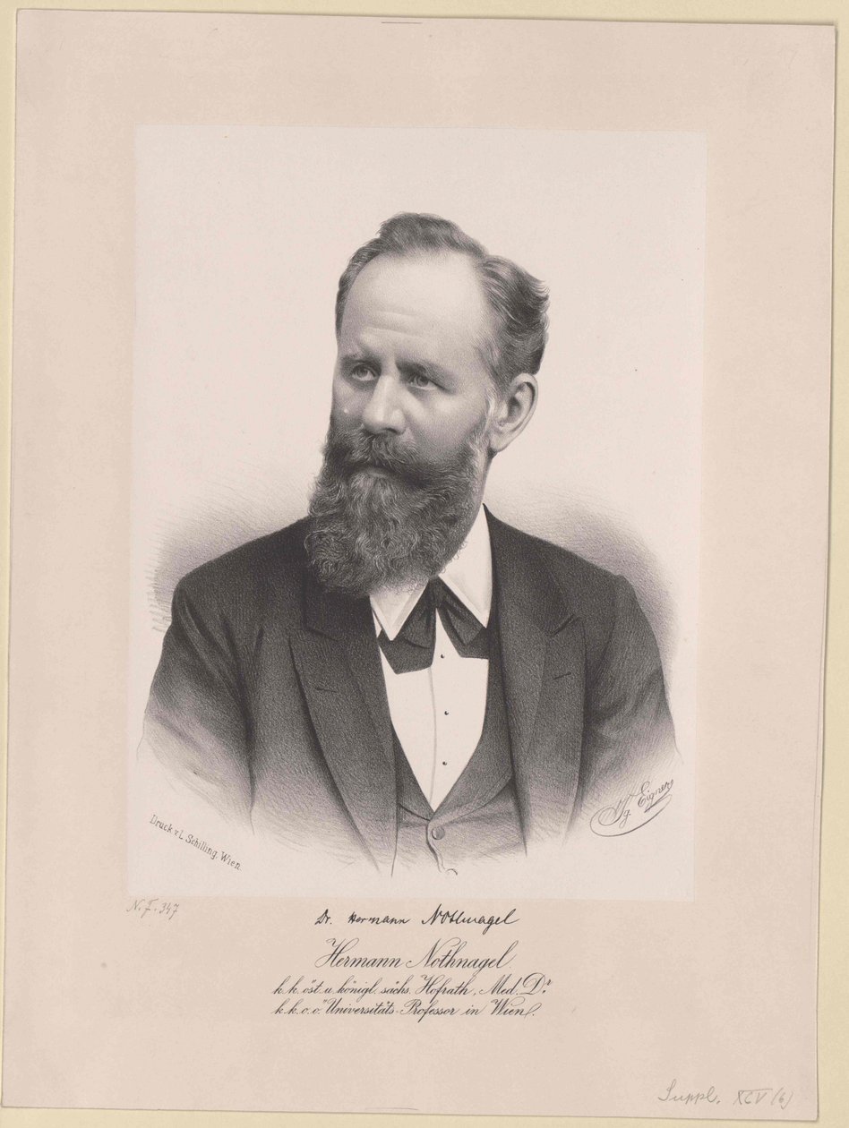 Hermann Nothnagel (nyomtatás) alkotó: Artist Unknown