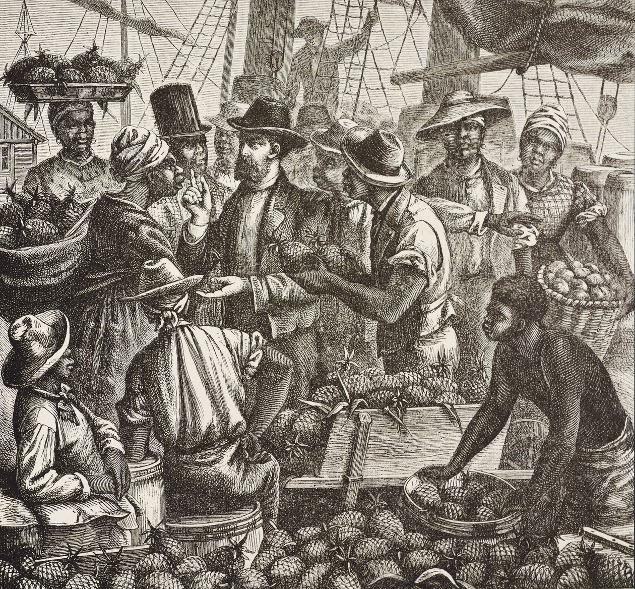 Anglia története (19. század). Gyarmatosítás (1880). Bahama ananászt árul. Angol gyarmat New Providence szigetén. Az ananász volt az egyik legfontosabb exporttermék Nassau kikötőjéből. Metszet. Magángyűjtemény alkotó: Artist Unknown