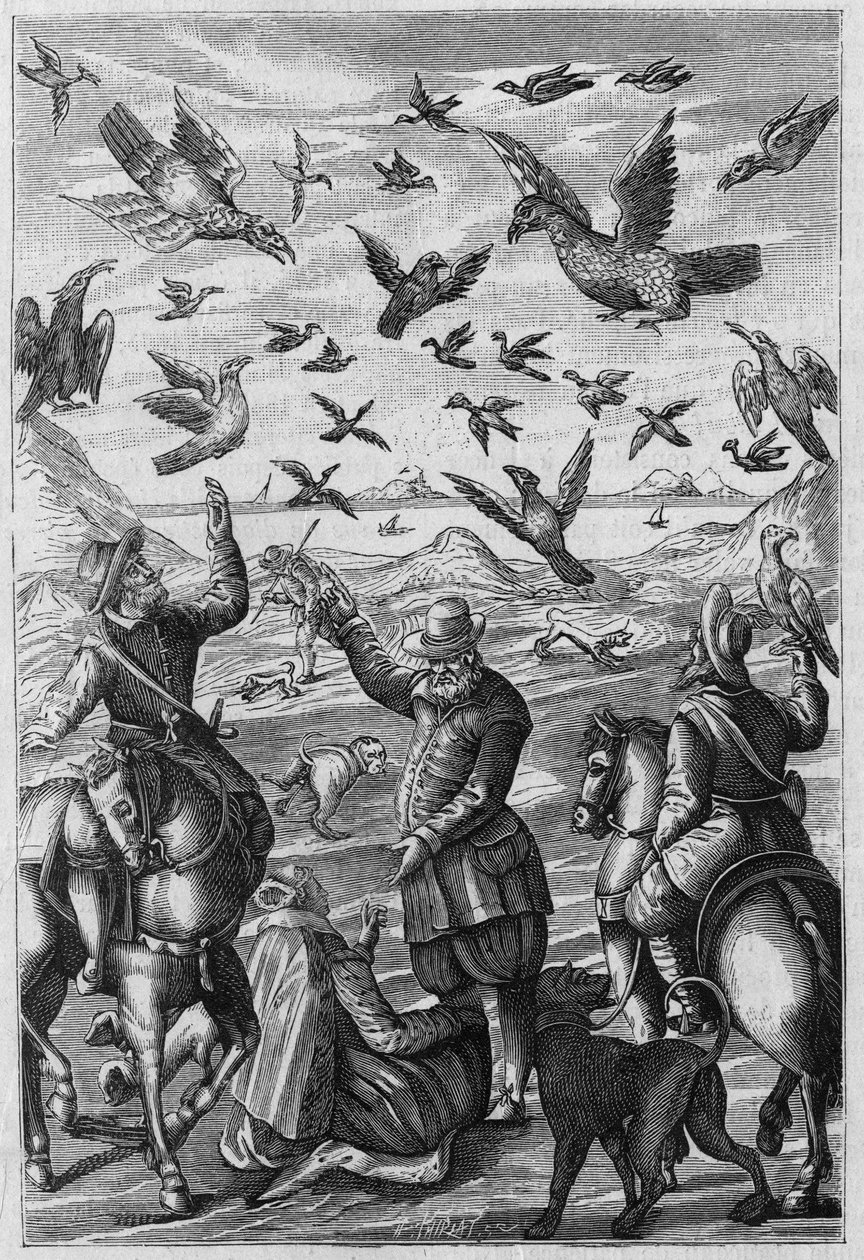 Illusztráció a "La Nature: revue des sciences et de leurs applications aux arts et a l