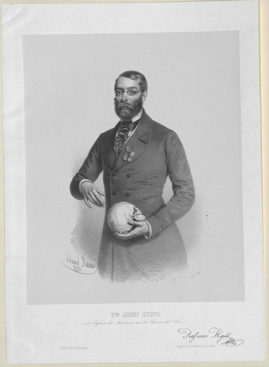 Joseph Hyrtl alkotó: Artist Unknown