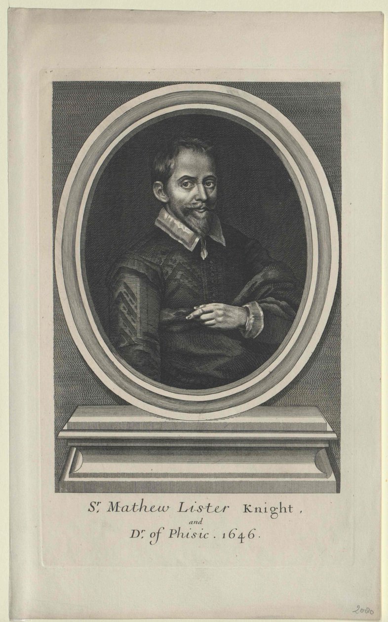 Matthew List (nyomtatás) alkotó: Artist Unknown