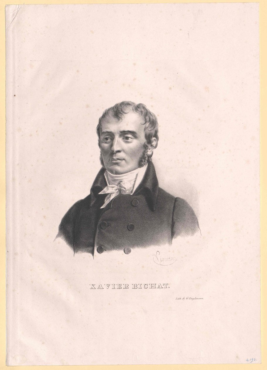 Xavier Bichat alkotó: Artist Unknown