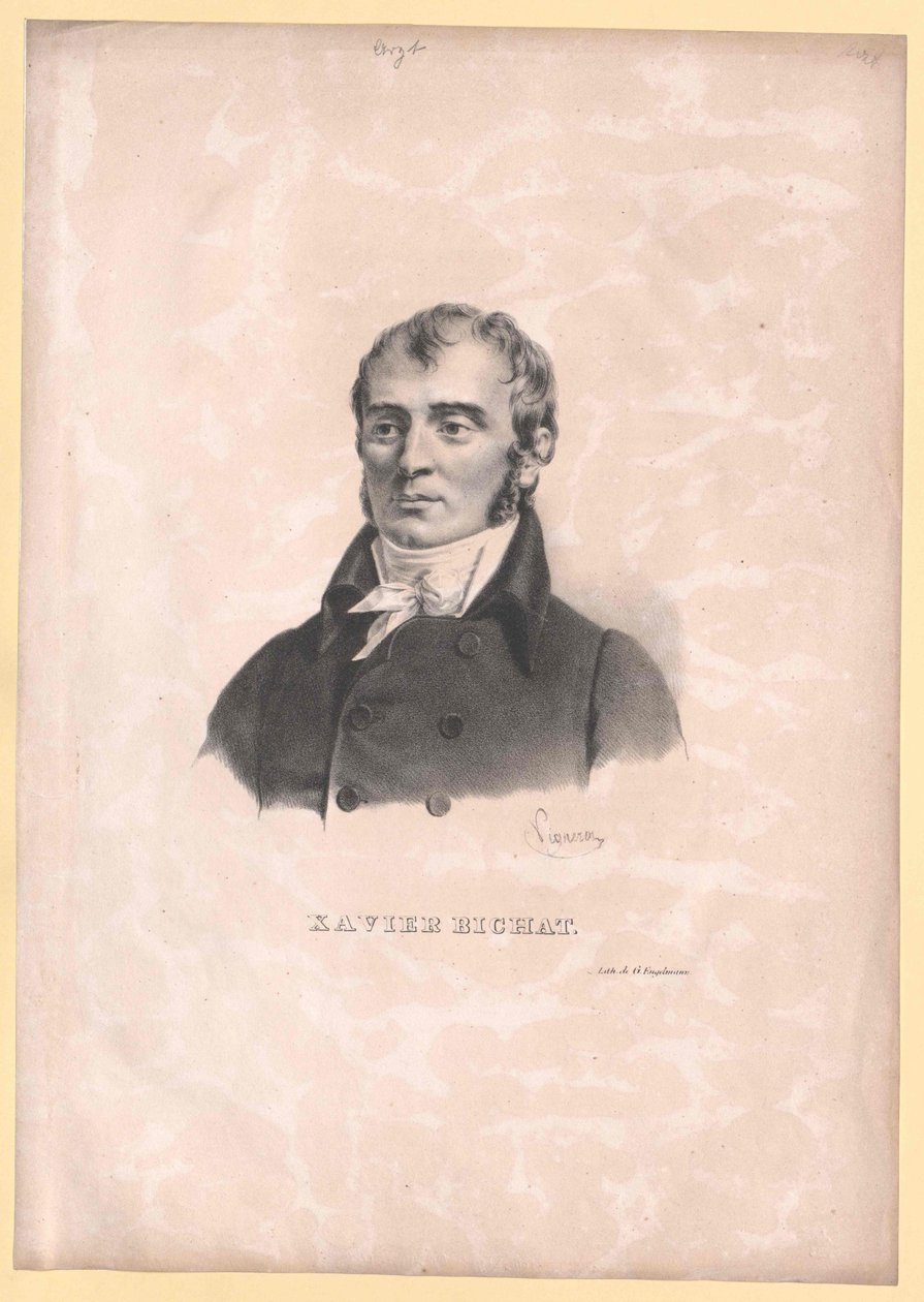 Xavier Bichat alkotó: Artist Unknown