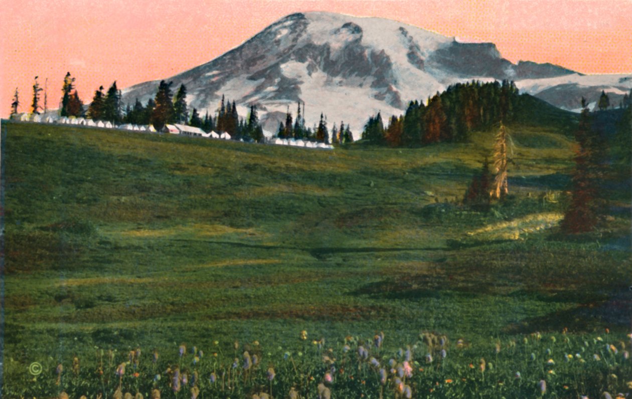 A felhők tábora, Mount Rainier, 1916 alkotó: Asahel Curtis