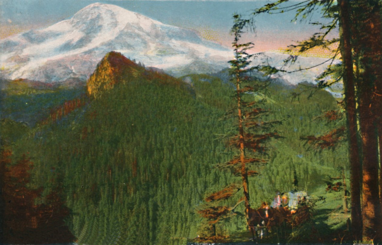 The Road at Rickseeker Point, Mount Rainier a távolban, Washington, 1916 alkotó: Asahel Curtis