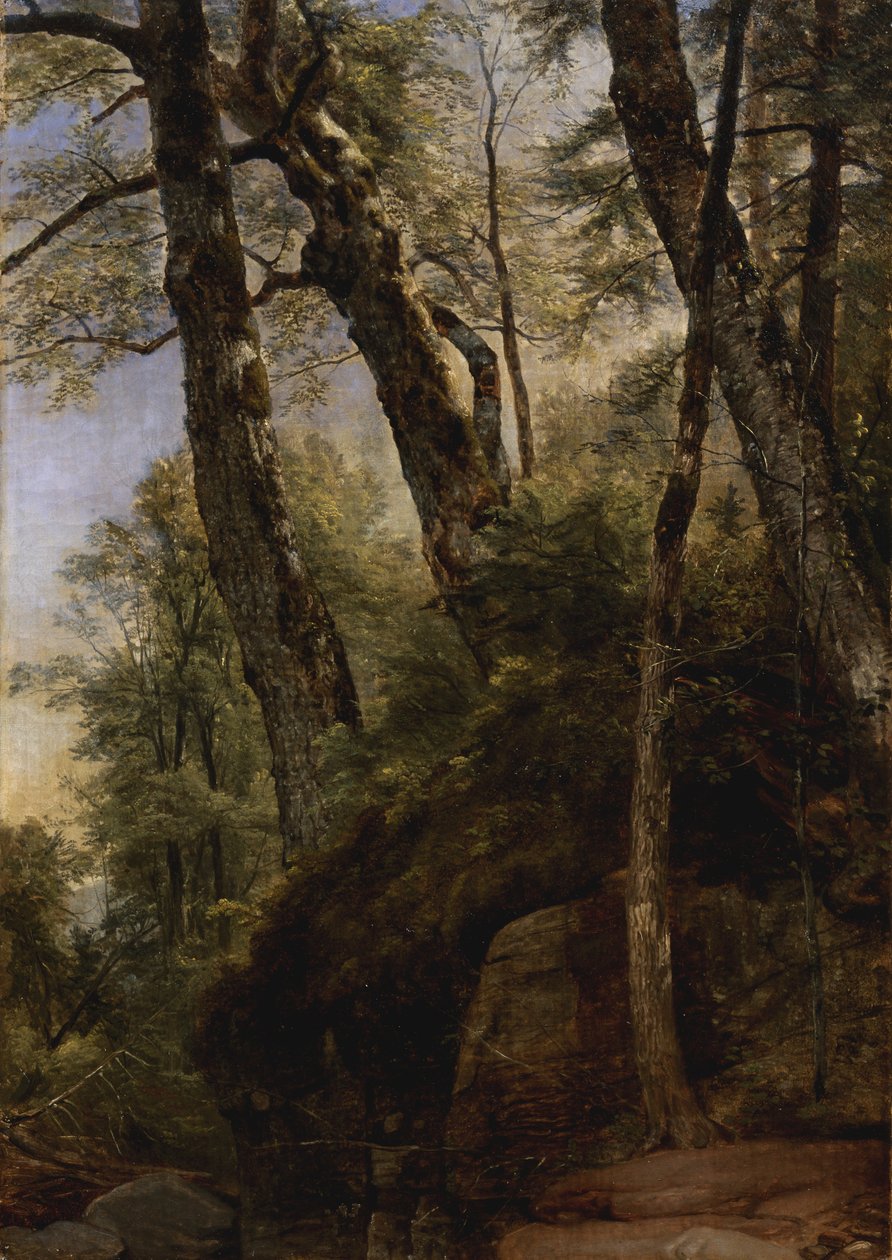 Fekete nyírfa, Catskill-hegység, 1860 alkotó: Asher Brown Durand