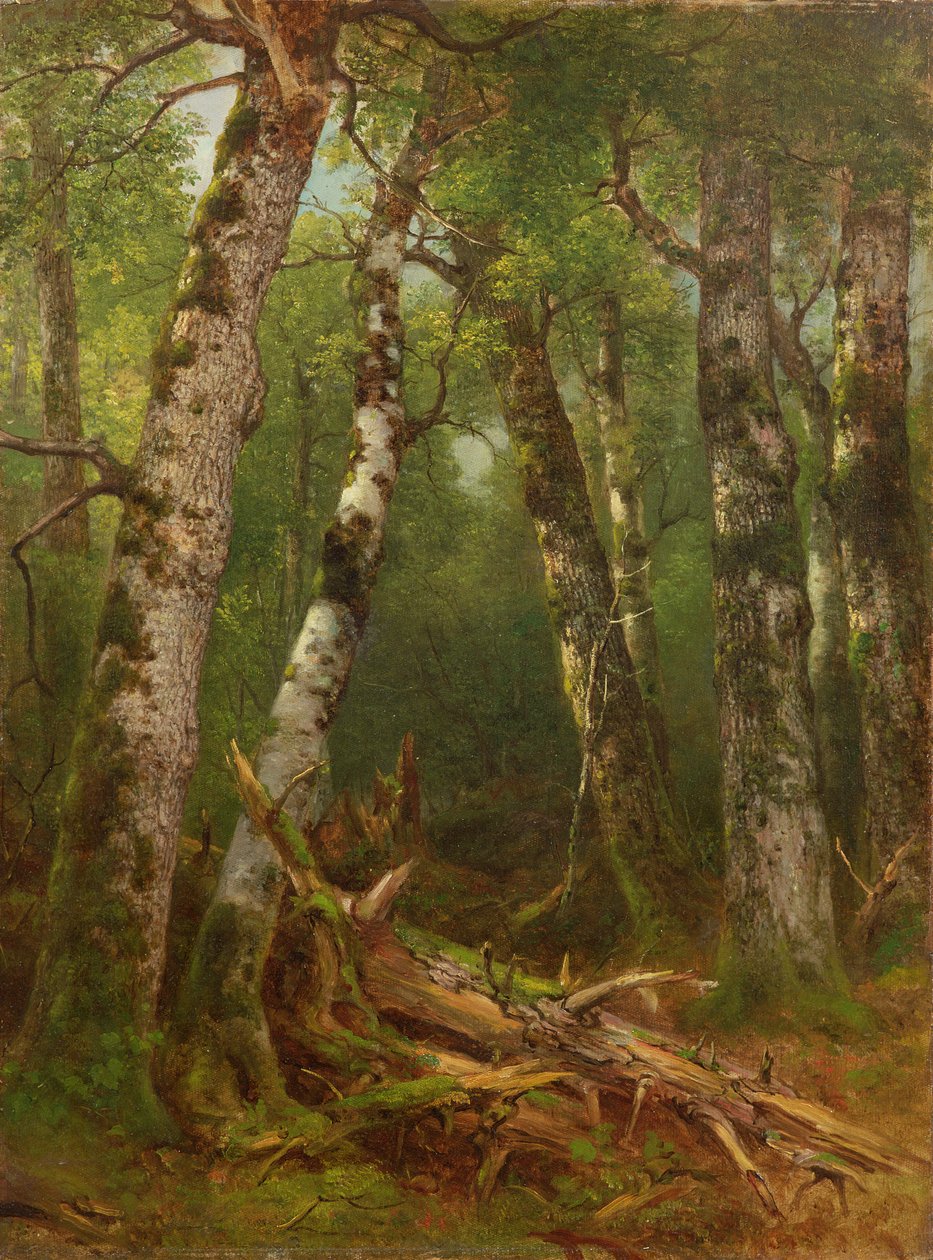 Fák csoportja, 1855-77 alkotó: Asher Brown Durand