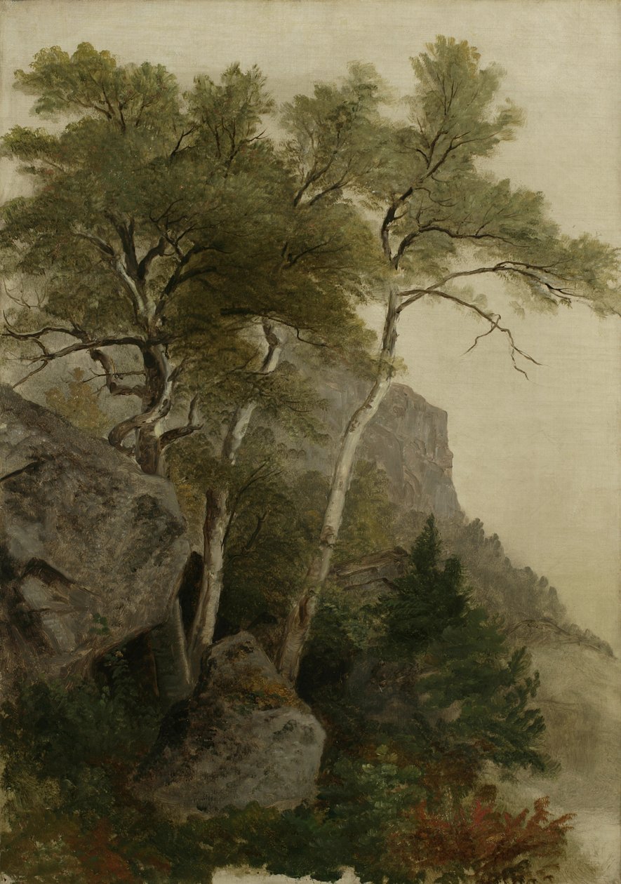 Táj, 1855 alkotó: Asher Brown Durand