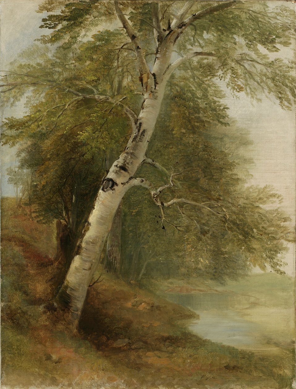 Természetismeret: 1860 alkotó: Asher Brown Durand