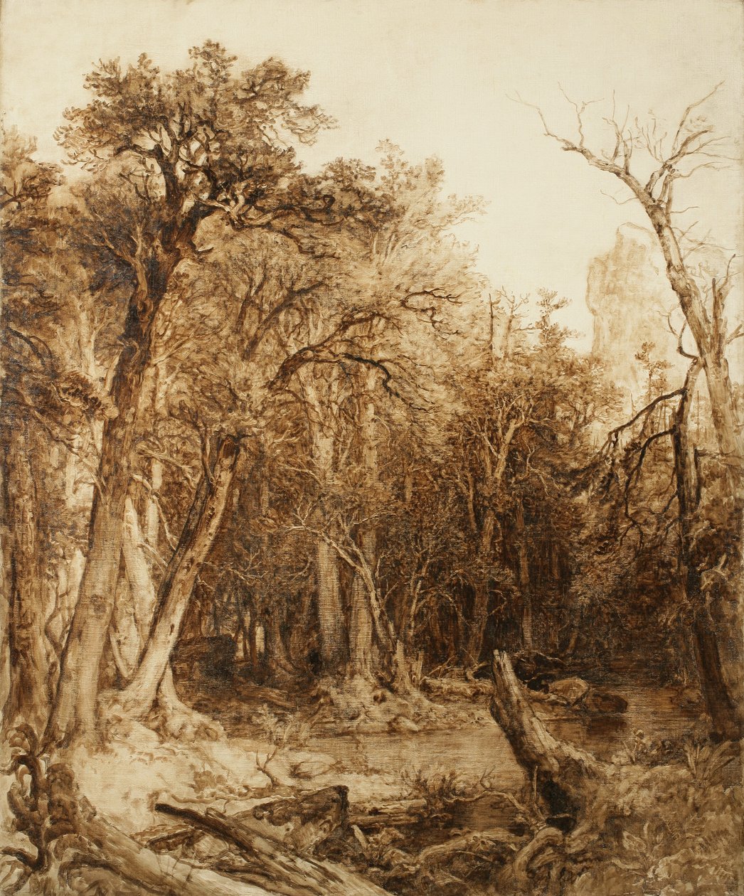 Őserdő, 1854 (olaj, előalapozott vászon) alkotó: Asher Brown Durand