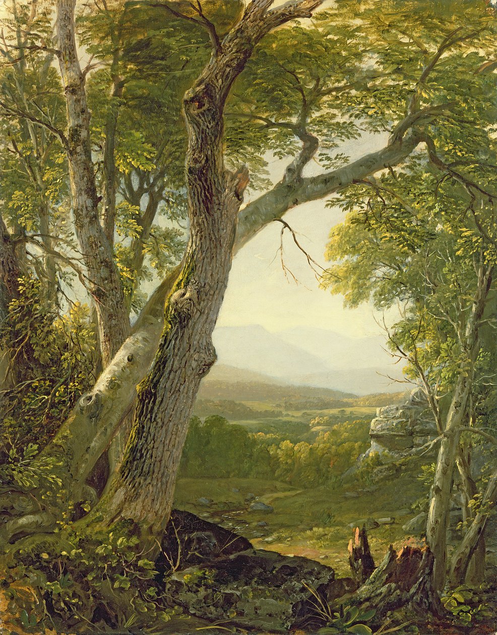 Shandaken Ridge, Kingston, New York, 1854 körül alkotó: Asher Brown Durand