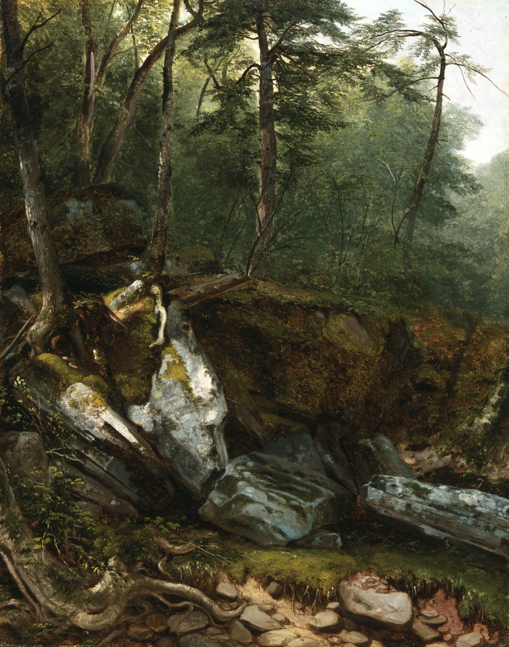 Tanulmány a Nature-ből: N.Y., 1856. alkotó: Asher Brown Durand