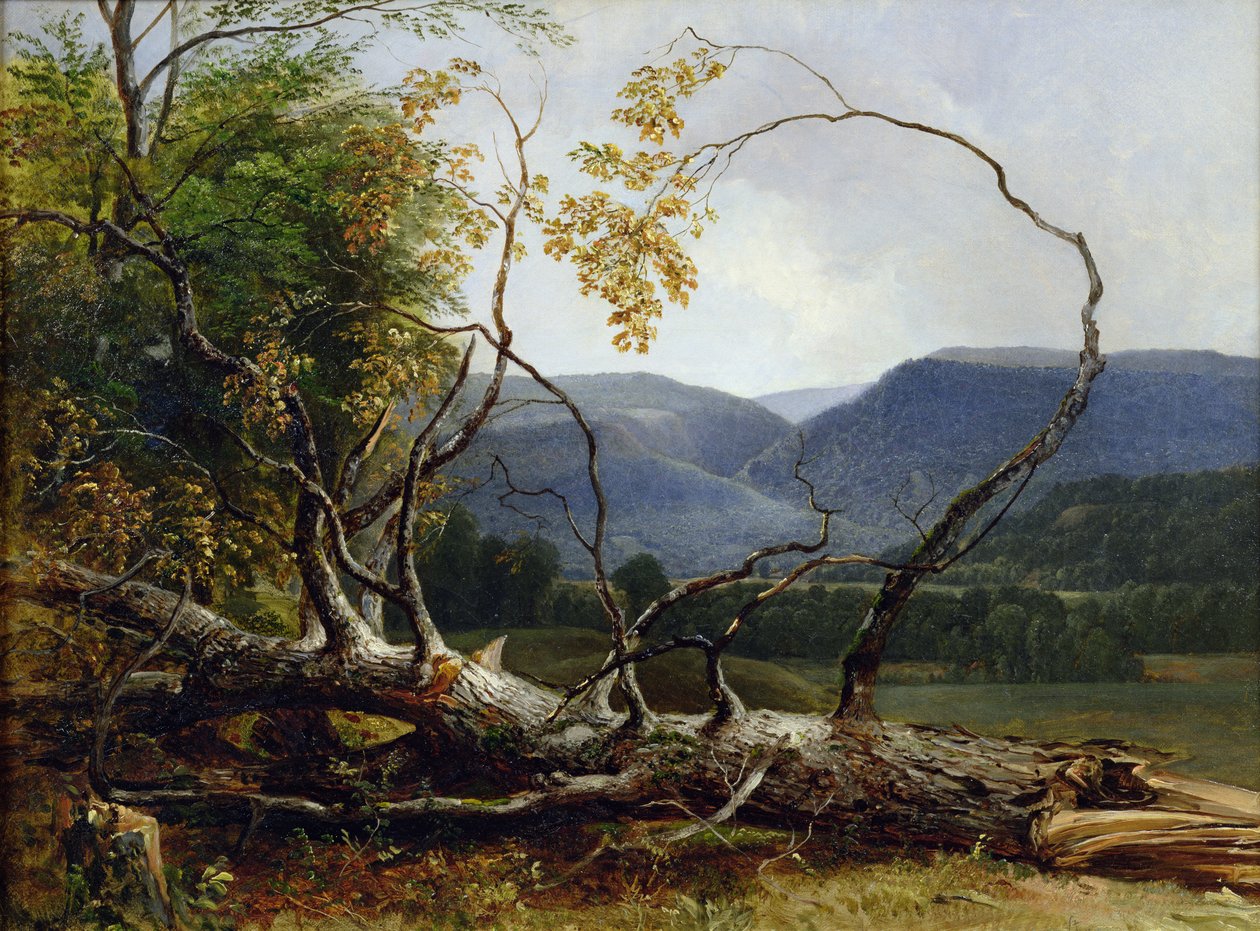 Tanulmány a természetből, Stratton Notch, Vermont, 1853 alkotó: Asher Brown Durand
