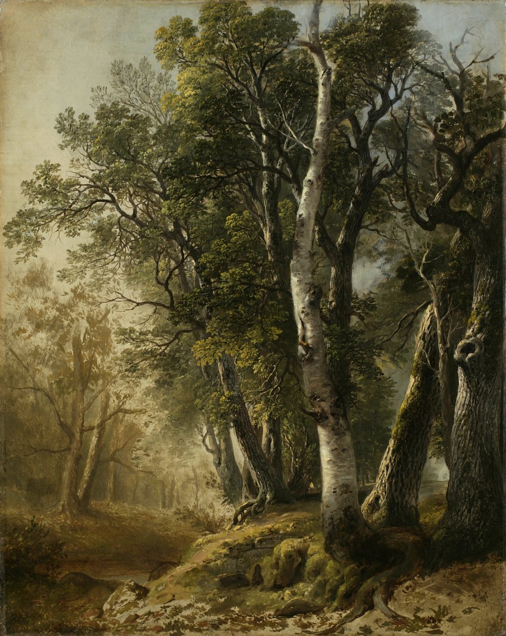 Fák a Brookside mellett, Kingston, N.Y., 1846 (olaj, vászon) alkotó: Asher Brown Durand