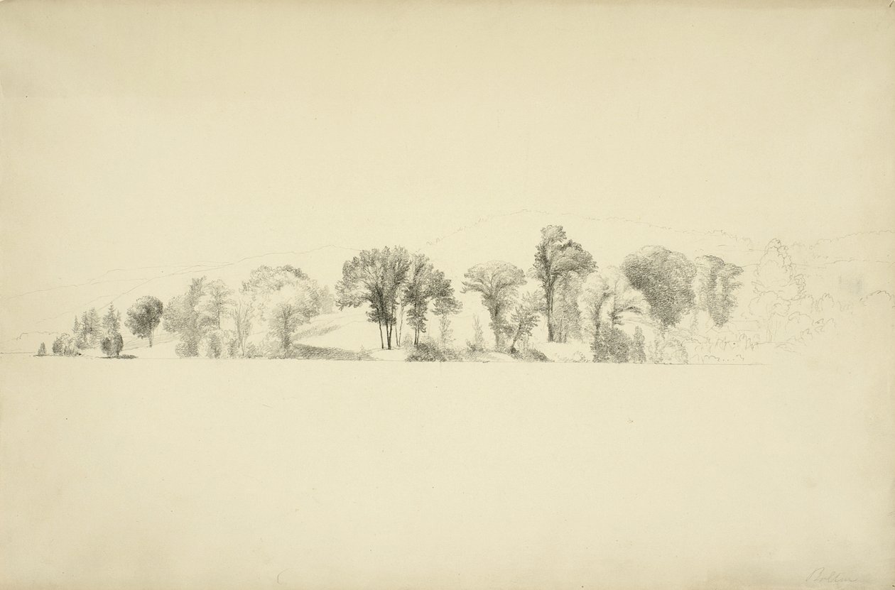 Fák a George-tó partján, Bolton, New York, 1863 (grafit papíron) alkotó: Asher Brown Durand