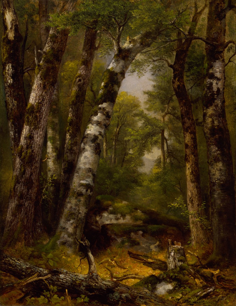 Woodland Glen alkotó: Asher B. Durand