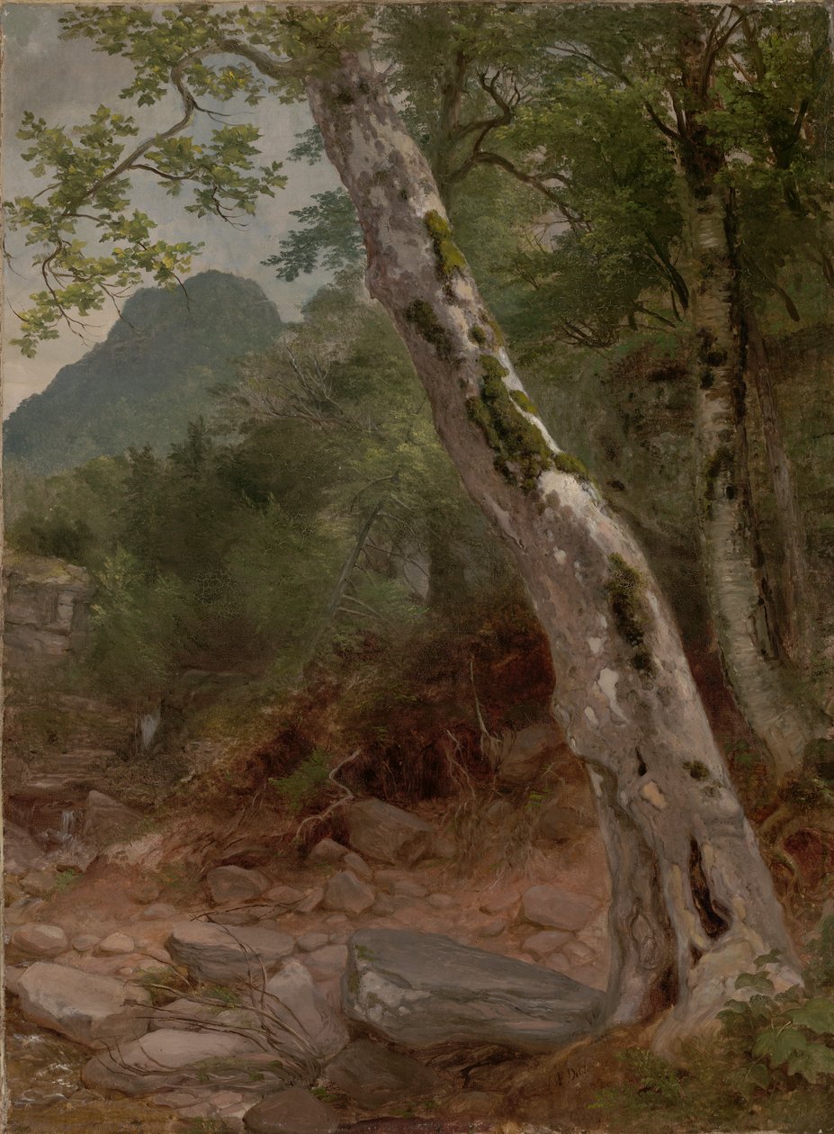 Egy platánfa, Plaaterkill szegfűszeg (The Sycamore, Kaaterskill Clove) alkotó: Asher Brown Durand