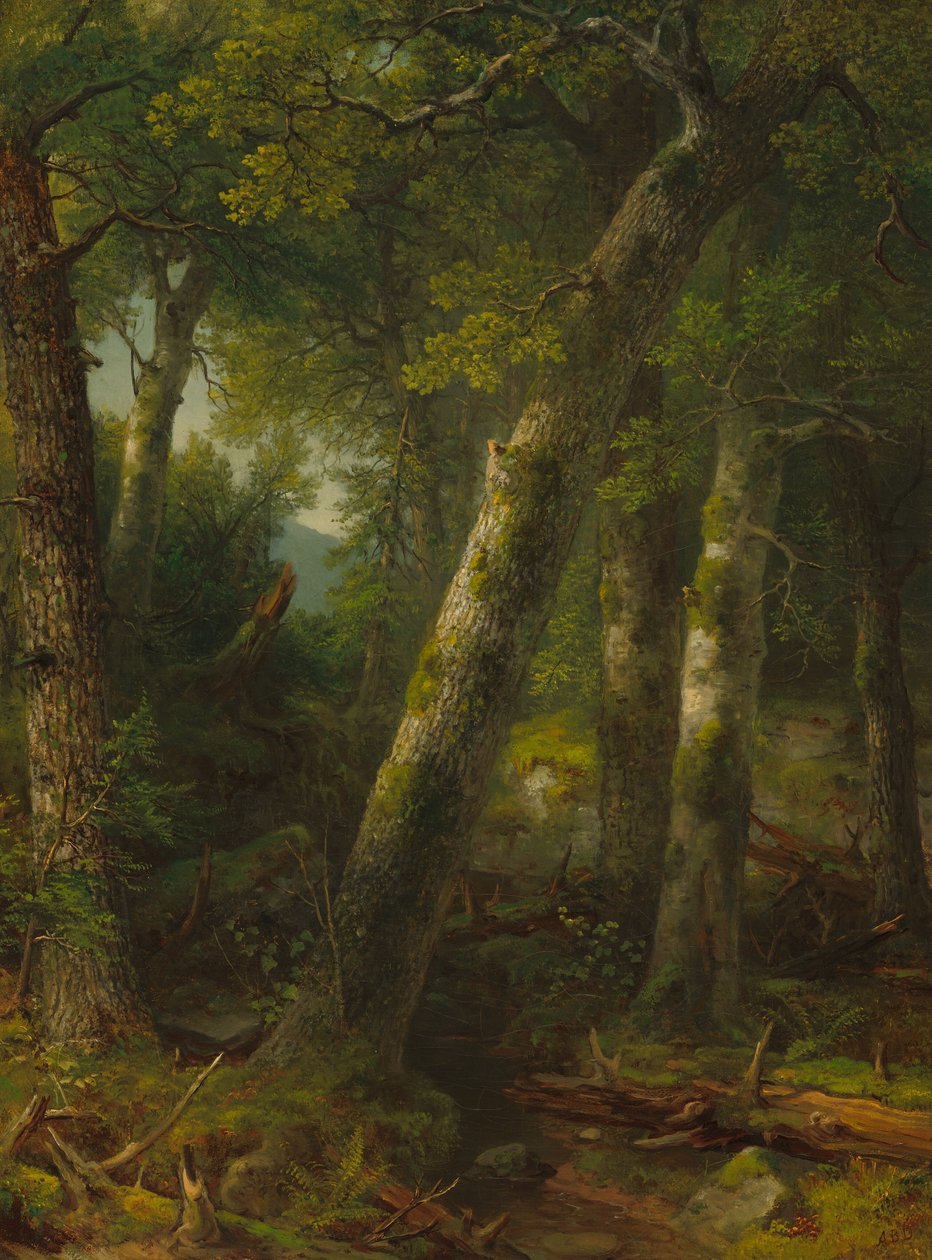 Erdő a reggeli fényben alkotó: Asher Brown Durand