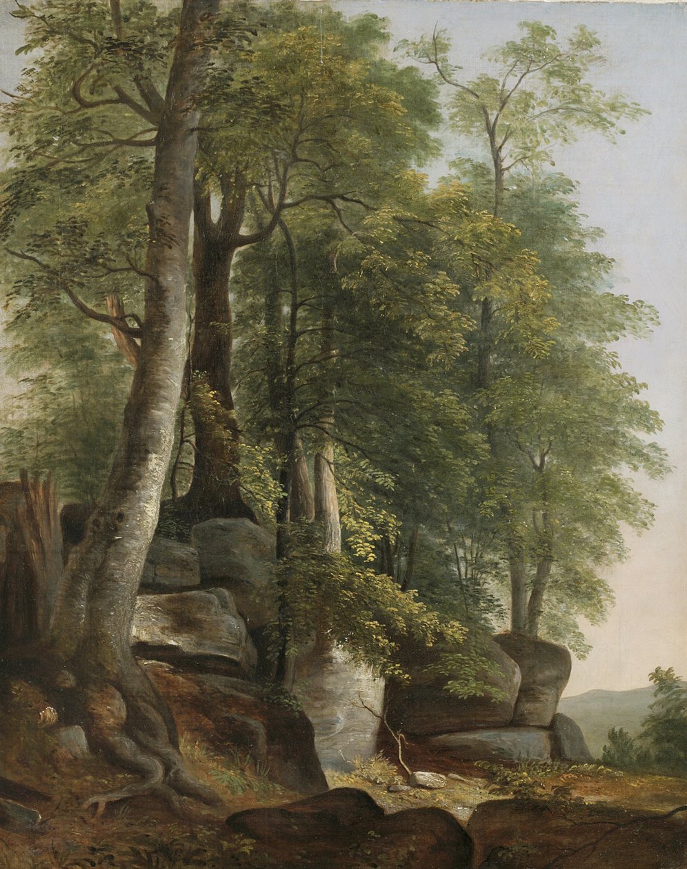 Táj sziklákkal és fákkal, 1845 körül alkotó: Asher Brown Durand