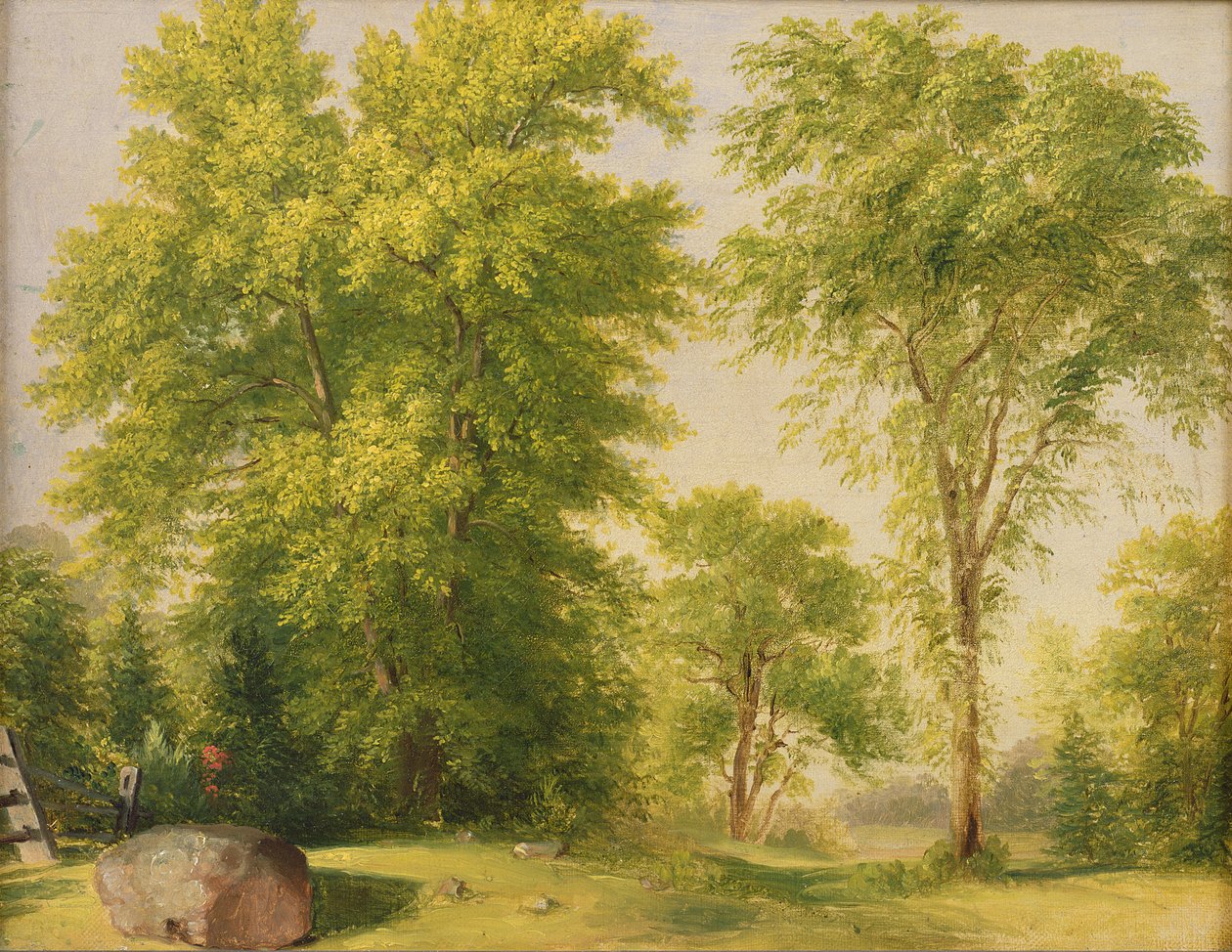 Tanulmány a természetből, Hoboken, New Jersey, 1834 körül alkotó: Asher Brown Durand