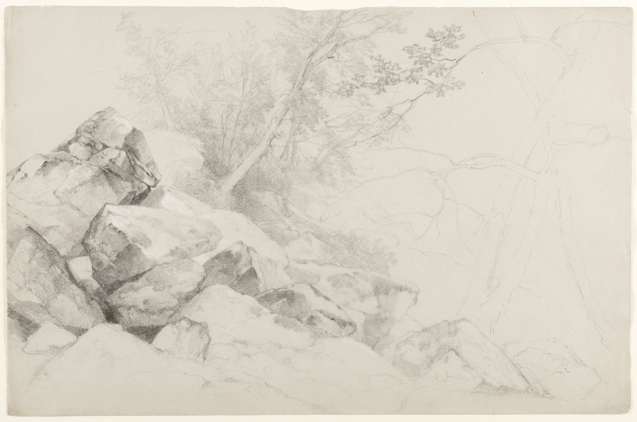 Study of Rocks with Trees, Hague, Lake George, New York, 1862 (grafit szürke papíron) alkotó: Asher Brown Durand