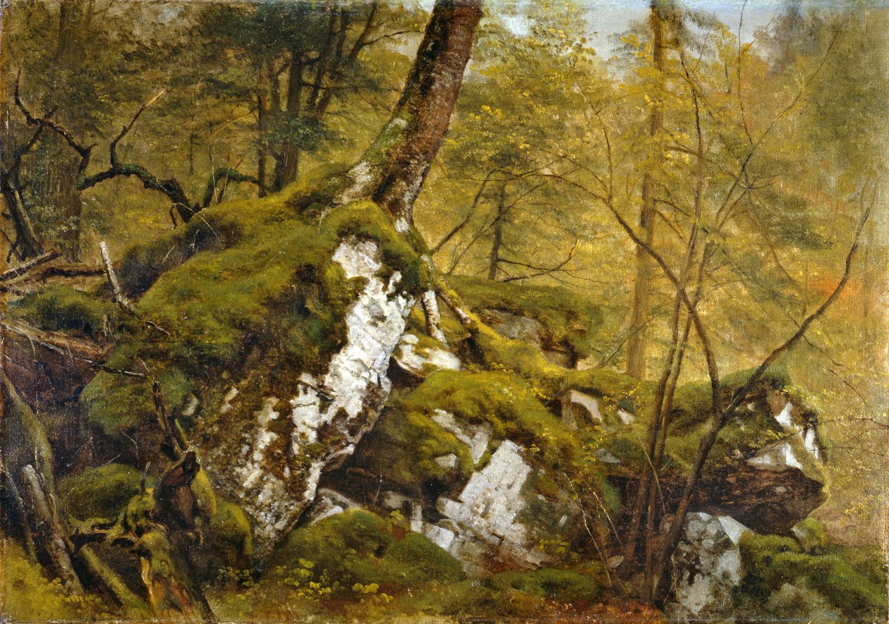 Tanulmány egy fabelsőről, 1855 körül alkotó: Asher Brown Durand