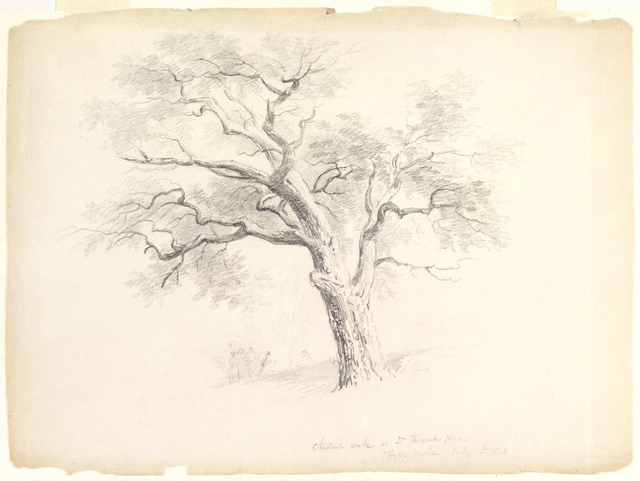 The Chestnut Oak a Hosack Estate-en, Hyde Park, New York, öt figurával és egy művész vázlattal, 1838 (grafit papíron) alkotó: Asher Brown Durand