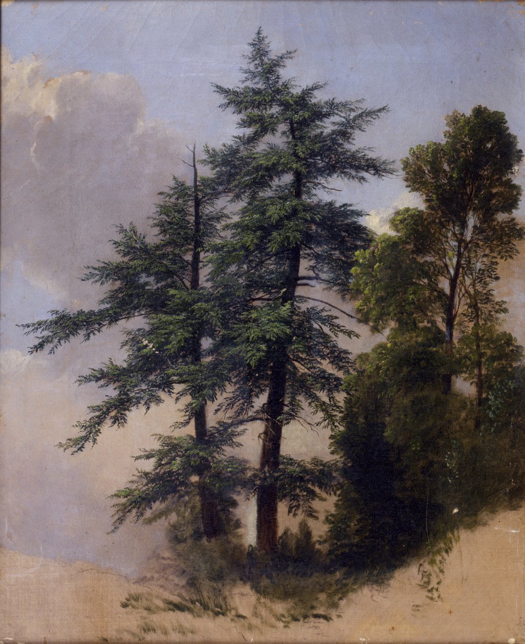 Tree Study, Newburgh, N.Y., 1849 alkotó: Asher Brown Durand