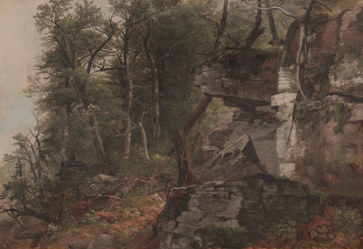 Fák egy sziklás domboldalon, 1849 körül alkotó: Asher Brown Durand