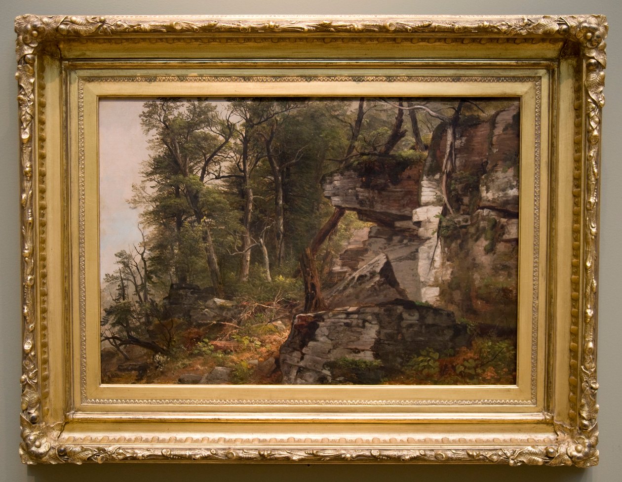 Fák egy sziklás domboldalon, c. 1849. alkotó: Asher Brown Durand