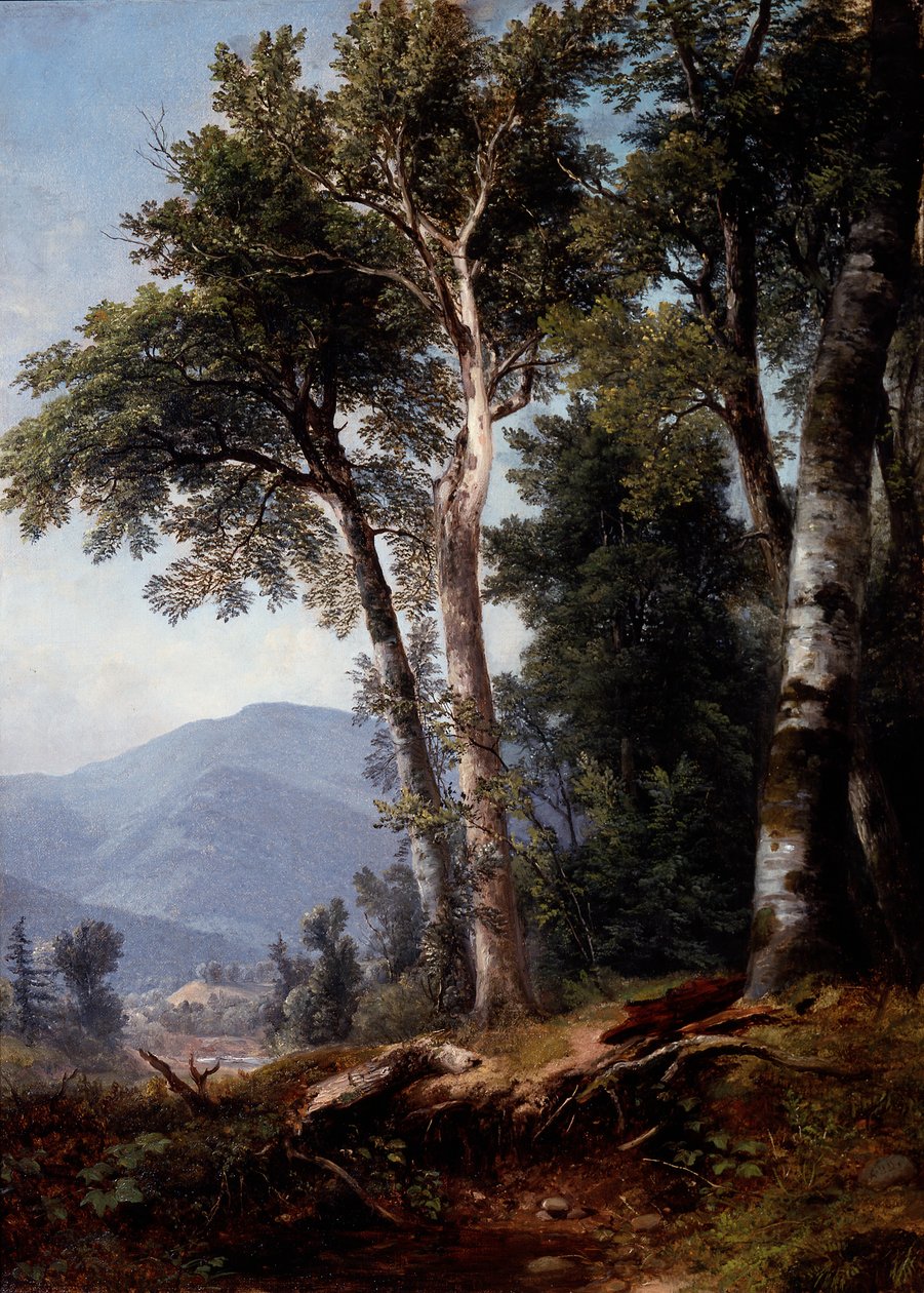Erdei táj, 1850 körül (olaj, vászon) alkotó: Asher Brown Durand