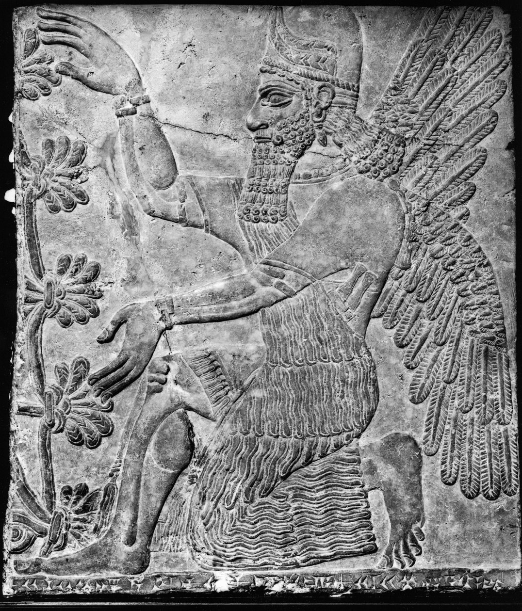 Szárnyas dzsinn, aki a szent fát imádja, a nimrudi palotából alkotó: Assyrian