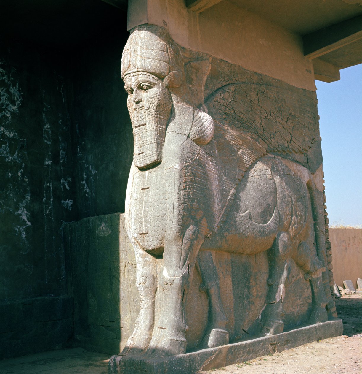 Szárnyas emberfejű bika, neo-asszír korszak, Ashurnasirpal II (alabástrom) uralkodása alkotó: Assyrian