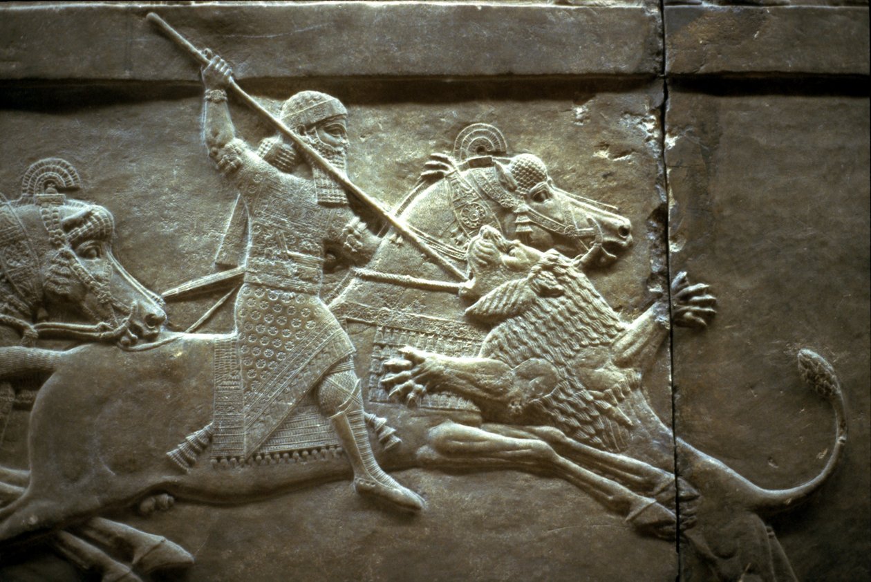 II. Ashurnasirpal király egy királyi oroszlánvadászat során, ie 650-620 között alkotó: Assyrian