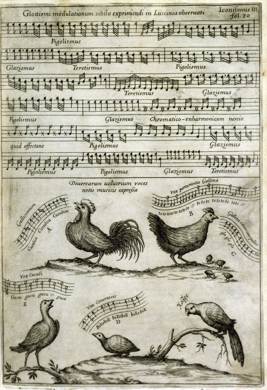 A dal, amelyet bizonyos illékony anyagok bocsátanak ki, hangjegyekkel kifejezve: „Musurgia Universalis”, Athanasius Kircher alkotó: Athanasius Kircher