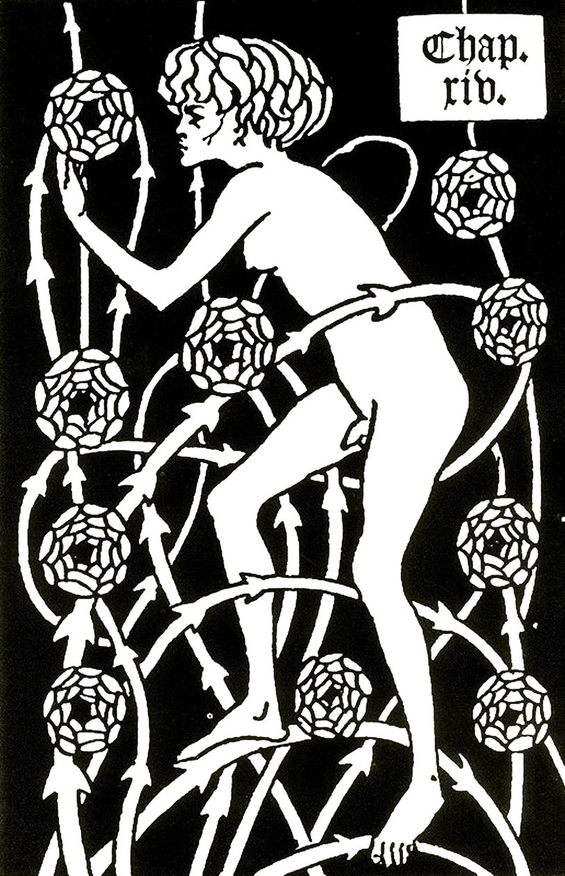 hermafrodita a Le morte d