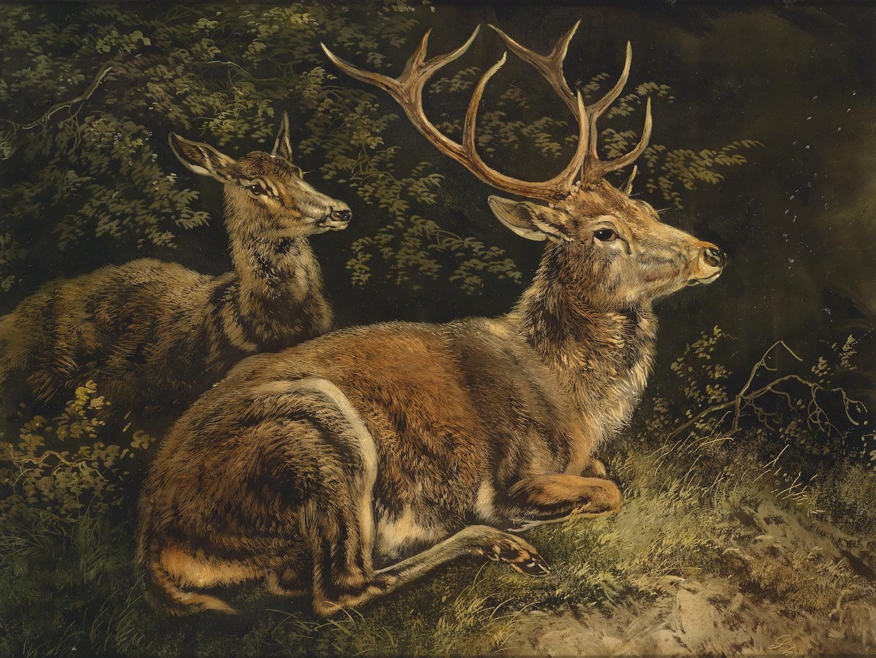 Szarvas alkotó: August Schleich