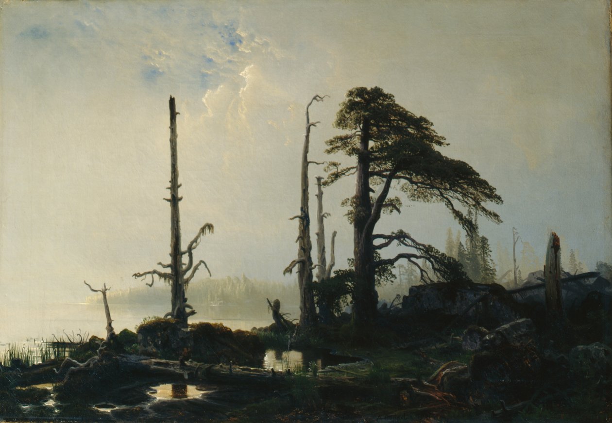 Tó ködben (olaj, vászon) alkotó: August Cappelen