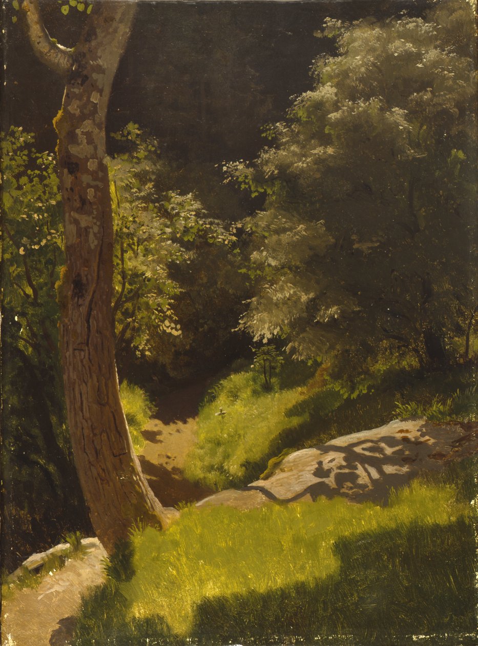 Park táj kerti ösvényekkel (olaj, vászon) alkotó: August Cappelen