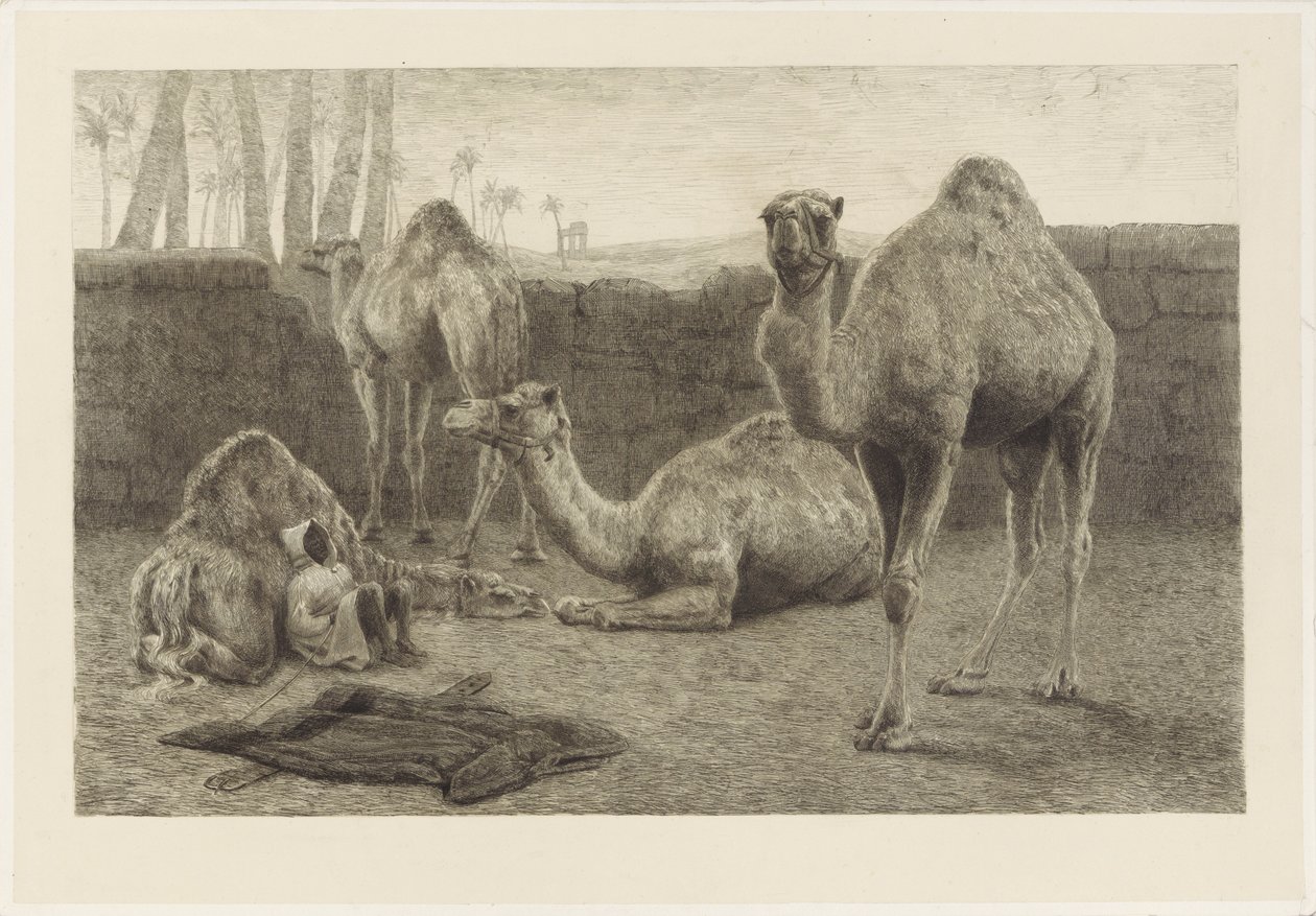 tevék alkotó: August Le Gras