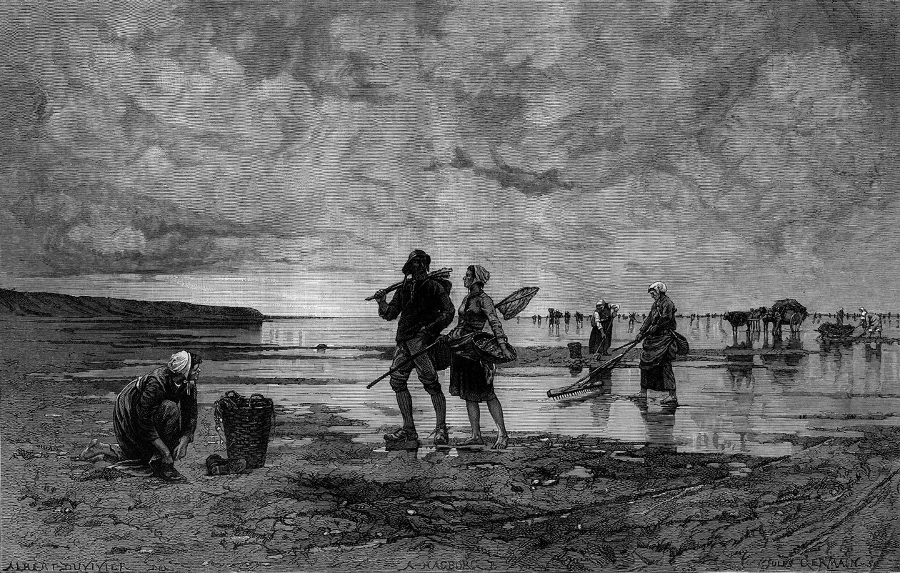 Nagy kanca a Csatornában (XIX. század): kagylóhalászok a tengerparton. Metszet Hagborg Auguste Wilhem Nikolaus (1852-1921/1925) festménye után a „The Illustrous World” 1219. sz. augusztus 7-én. alkotó: August Wilhelm Nikolaus Hagborg