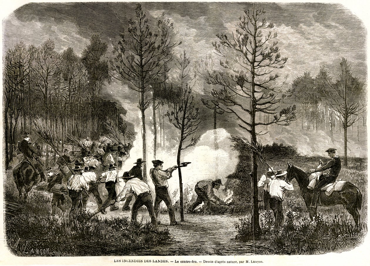 A Landes nagy tüze, az ellentűz alkotó: Auguste Andre Lancon