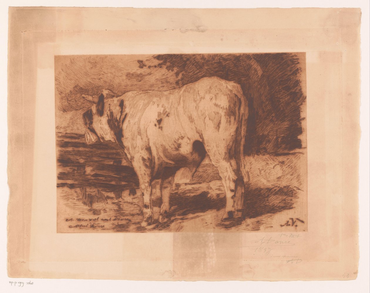 STI és a mikroban alkotó: Auguste Danse (signed by artist)