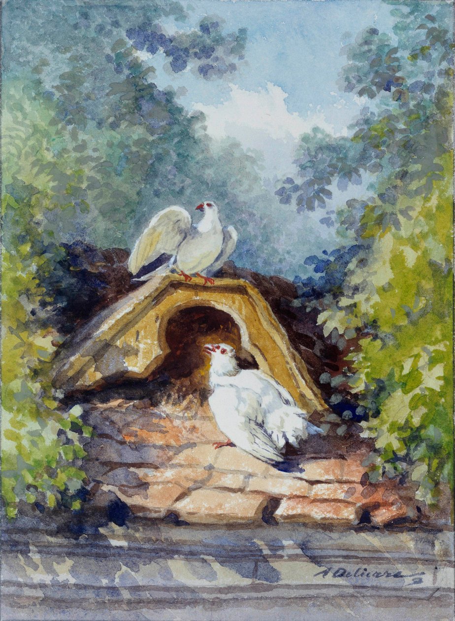 Auguste Delierre (1829-1891) két akvarellgalambja Jean de la Fontaine (1621-1695) meséjéhez 19. század. Thierry kastély. La Fontaine Múzeum alkotó: Auguste Delierre