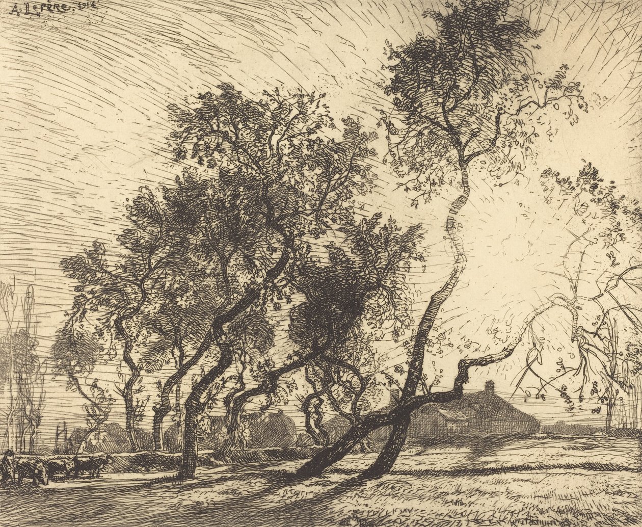 A holland nyárfarm, 1914. alkotó: Auguste Lepere