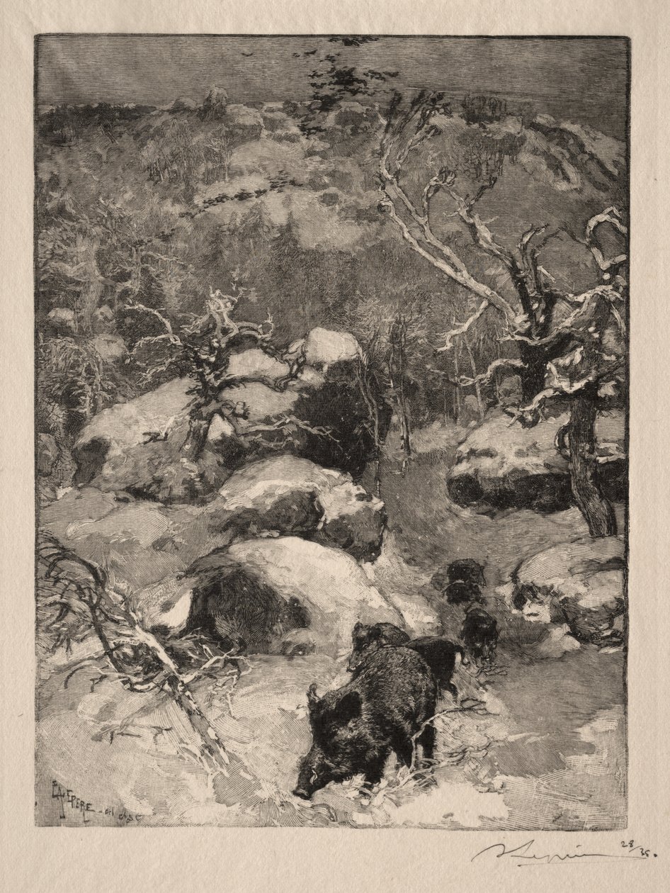 Roche Cuvier Chatillon alkotó: Auguste Louis Lepère
