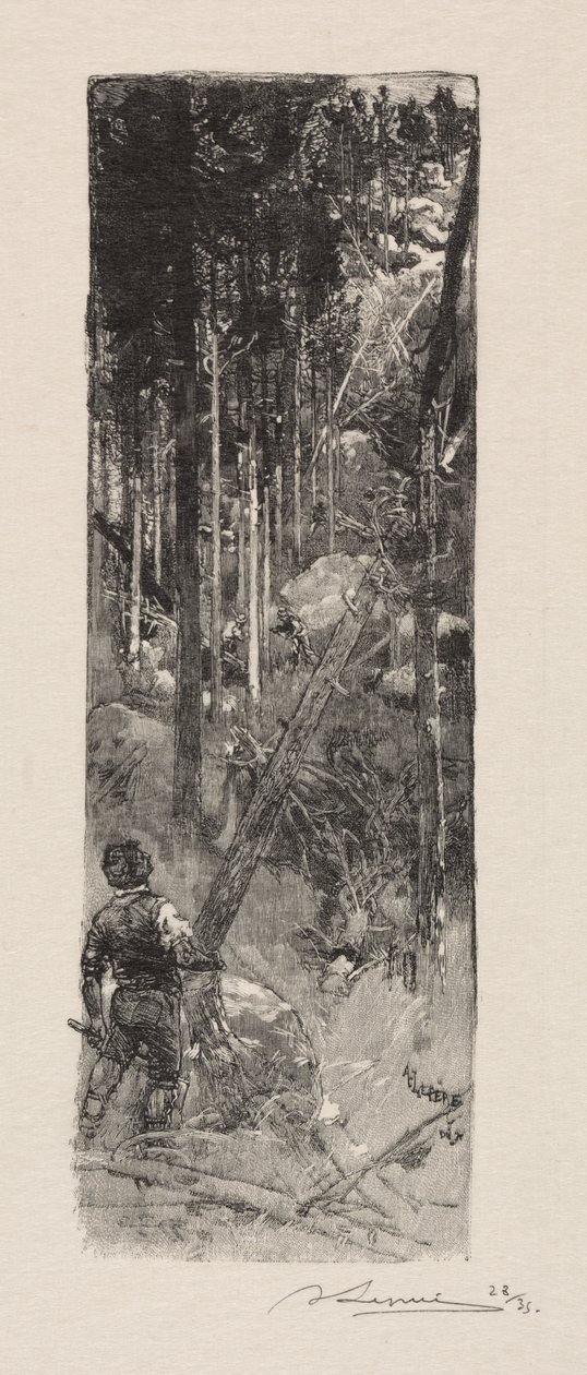 Fenyők kivágása alkotó: Auguste Louis Lepère